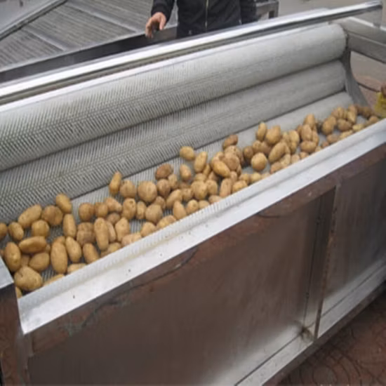 Beste industrielle Kartoffelschälmaschine Schäler Schälmaschine